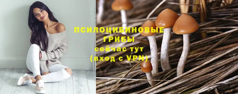 Галлюциногенные грибы MAGIC MUSHROOMS Северск